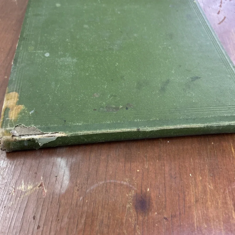 Antique Gems Of Penmanship Williams And Packard 1866 Calligraphy Book